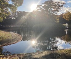 人間関係に関するお悩み回答します イメージ1