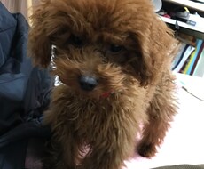 男心、恋愛相談のります イメージ1
