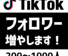 TikTokのフォロワー+300まで宣伝します イメージ1