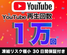 YouTubeの再生回数を1万回増やします 【凍結リスク極小】30日間の減少保証付き 高品質ユーザー