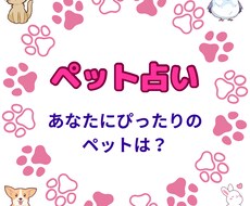 あなたが飼うならこのペットをご紹介します イメージ1
