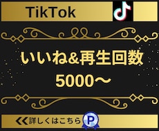 TikTokのいいね＆再生回数を5000増やします