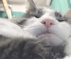 褒めます⸌⍤⃝⸍肯定します イメージ1