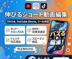 魅力を最大化するショート動画を制作します イメージ1