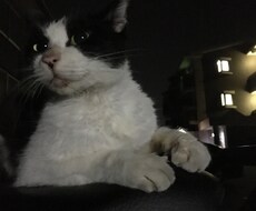 なんでもします。全ジャンル対応 イメージ1