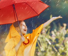 悩みから開放されたい方必見★『根本原因』探します 根本原因が分かると、解決策が見えてきます。