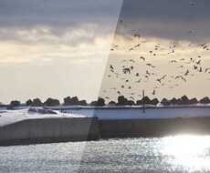 Photoshopを使用した画像修正をいたします こちらの金額で3枚まで対応可能です。一度ご相談ください。
