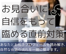 お見合直前対策＊60分のため全力でサポートします お二人のプロフィールから、話題ポイントと会話の流れを作ります