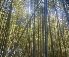 あなたの気持ちをただ受け止めます イメージ1