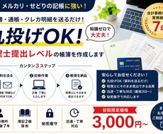 丸投げOK｜税理士提出レベルで記帳代行します イメージ1