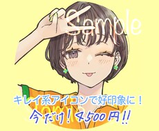 繊細なアイコンでSNSの魅力UPをお手伝いします