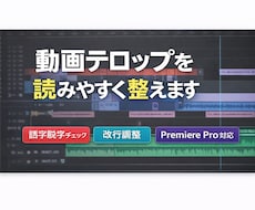 動画テロップの誤字脱字・改行を丁寧に整えます イメージ1