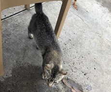愚痴や悩みを聞きます イメージ1