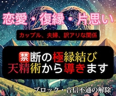 禁断の極縁結び【天精霊術】より叶えます