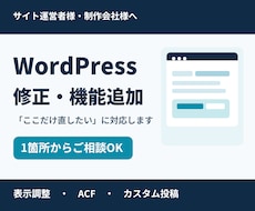 WordPress修正・カスタマイズを代行します イメージ1