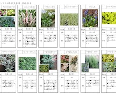 お庭の環境とイメージにマッチした植物を選定します お庭に植える植物選びにお困りの方へ