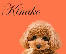 ペットのお写真をデザインアートにします イメージ1
