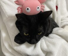 シングルマザーの二児の母が愚痴聞きます イメージ1