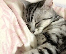 あなたのことを褒め、認め、讃えます イメージ1