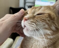 年は取ってみるもんだな。その心境をお伝えします イメージ1