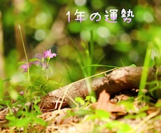 1年の運勢占います イメージ1