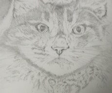 お好きな写真や絵をデッサン風イラストに描きます イメージ1