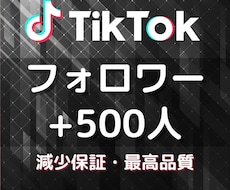 TikTokのフォロワー500人以上増やします イメージ1
