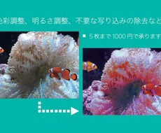 写真の気になるところを修正します 思い出をより色鮮やかに！理想的に！