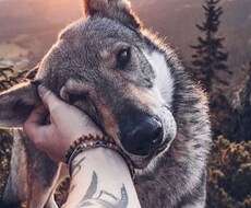簡単なカウンセリングで毎日を生きやすくします イメージ1