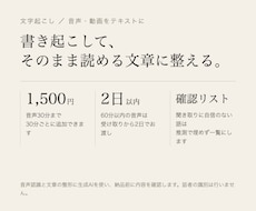 音声・動画を文字起こしして読みやすく整えます イメージ1