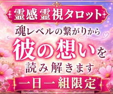 魂レベルの繋がりから彼の想いを読み解きます イメージ1