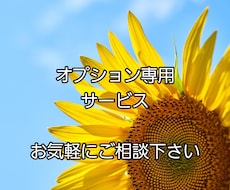専用です！　内容についてお話し合い後鑑定致します それぞれご自分に合ったプランのご提案をさせていただきます