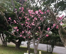 日々のちょっとした話聞きます イメージ1