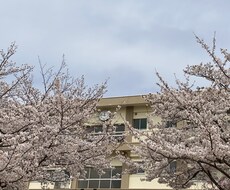 男の子のママ悩み、相談聞きます イメージ1