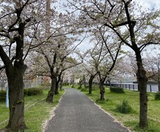認定心理カウンセラーが悩み解決へのお手伝いをします イメージ1