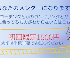 初回限定価格ーあなたのメンターになります イメージ1