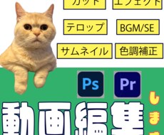 動画編集作業、代行します 保育士経験者ママが素材の良さを引き出します！