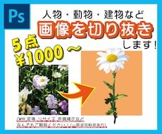 画像の切り抜き・合成・色調補正します イメージ1