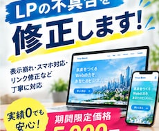 期間限定価格～LPの不具合を修正します 表示崩れ・スマホ対応・リンク修正など丁寧に対応