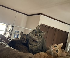 ざっくばらんに聞きます イメージ1