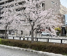 女性限定‼︎子育て日常のモヤモヤ愚痴を聞きます イメージ1