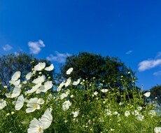 数秘術を使ってあなた様の個性をお伝えします イメージ1