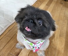 SEの私が、あなたの悩みを全力で聞きます イメージ1