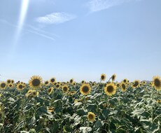 どんなお悩みも一緒に考えます イメージ1