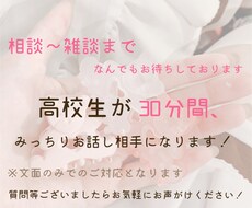 30分間お話し相手になります イメージ1