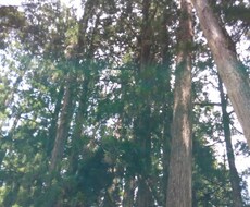 龍神様からのお声をお届けします イメージ1