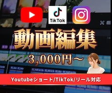 SNS用動画編集　代行します イメージ1
