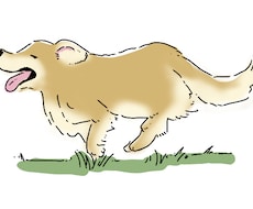 シンプルでやさしいイラストを描きます イメージ1