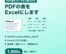 PDFの表を全セル照合してExcelにします イメージ1