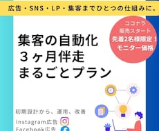 広告運用・集客・LP・販売までフルサポートします 3ヶ月でアカウント初期設定から集客の仕組みづくり